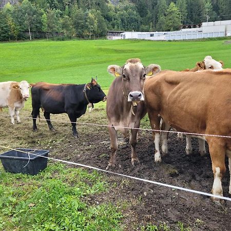 Ferienhof Bichlhof Arzl im Pitztal Eksteriør bilde