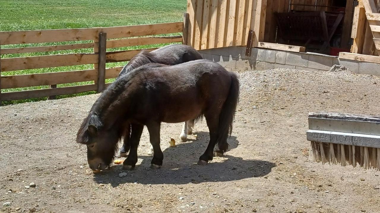 Ferienhof Bichlhof Arzl im Pitztal Eksteriør bilde